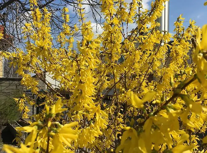 Zur Post Отель Гумпольдскирхен